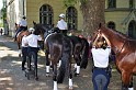 Polizeidirektion   134